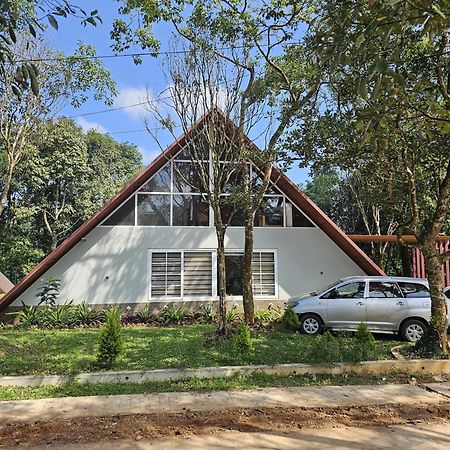 Udumbanshola Hazy Hills Pool Villa מראה חיצוני תמונה